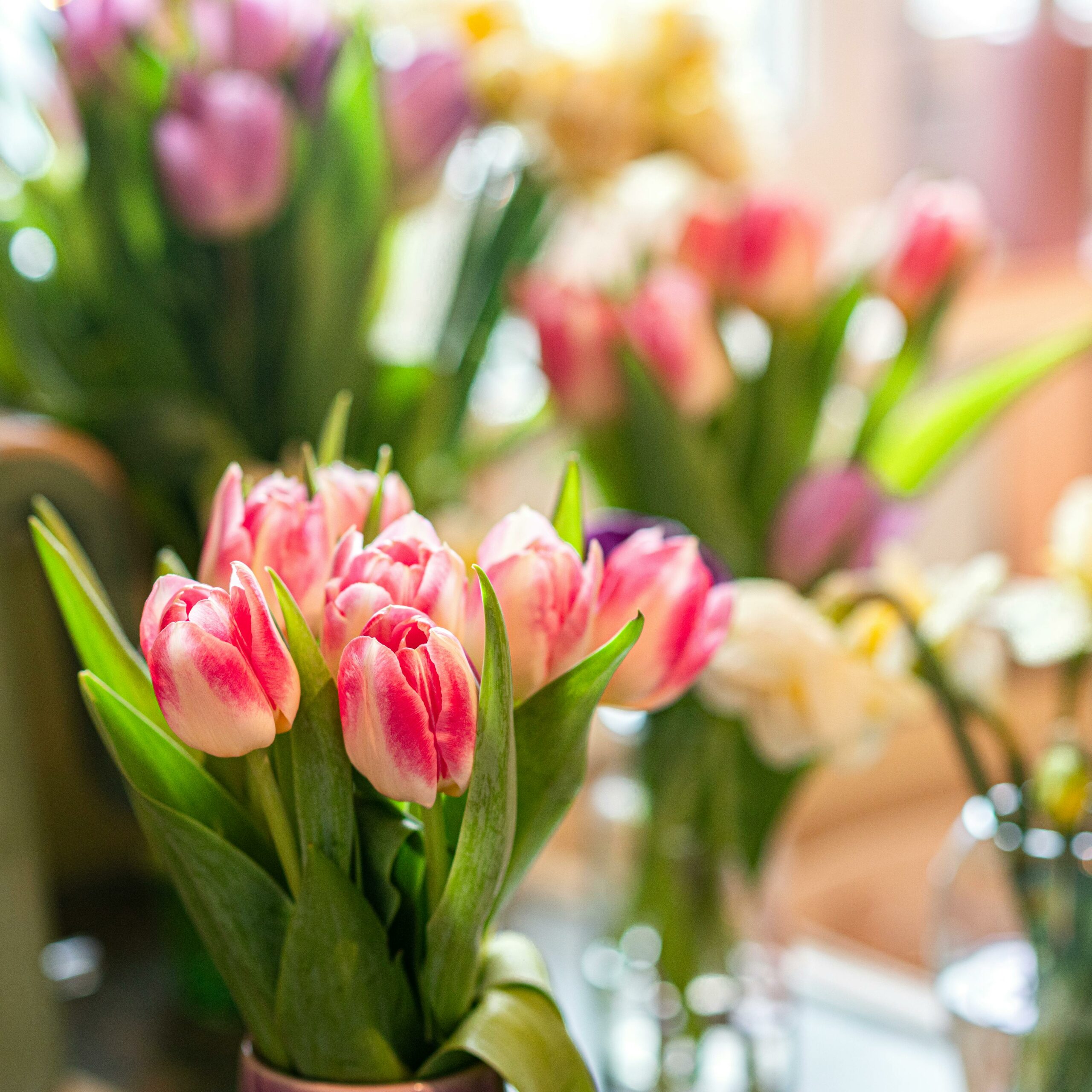 Floristics Co.: Pioneering sustainable flowers in Singapore